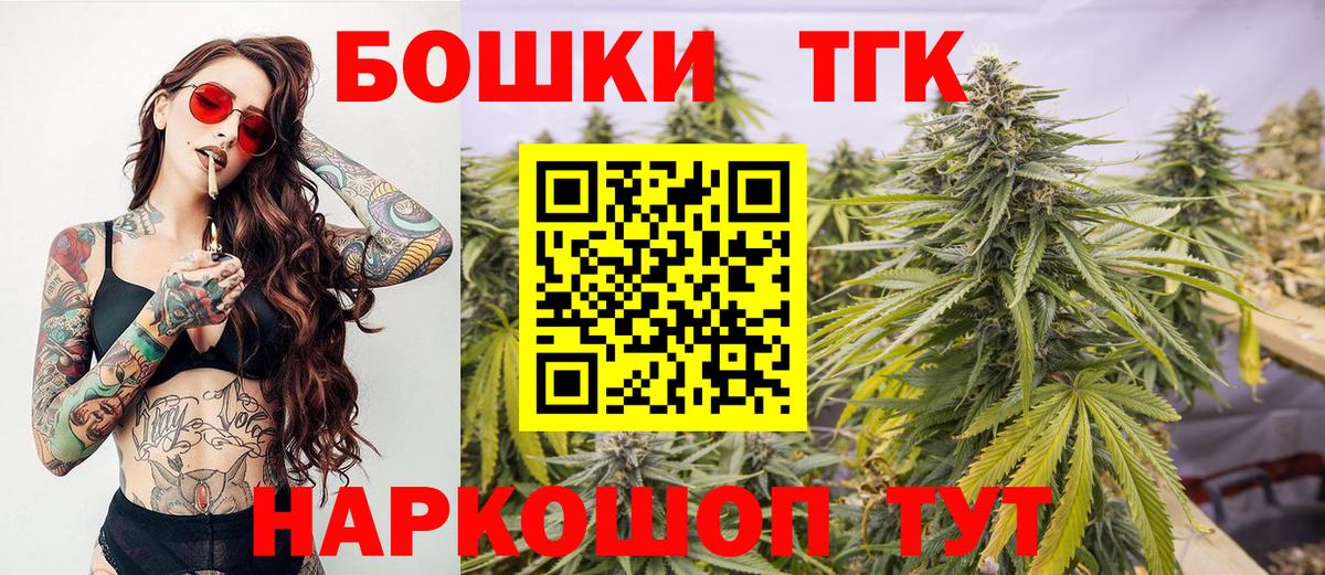 Конопля сатива Тверь